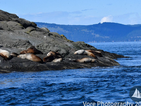 Deer Harbor Charters-Eastsound必去景点