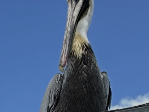 Vilano Beach-Vilano Beach必去景点