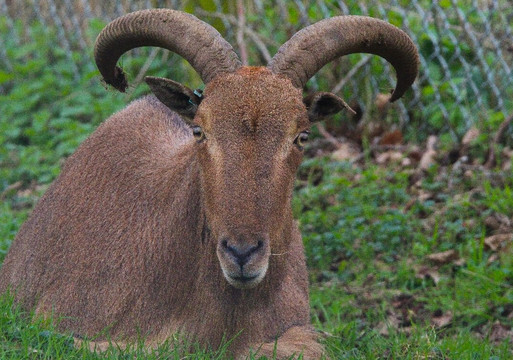 Africa Alive-Kessingland必去景点