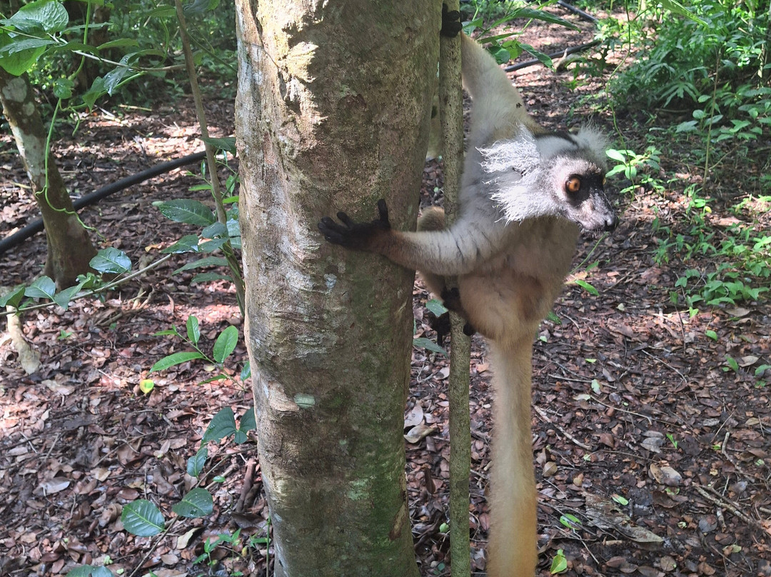 FANILO TOURS-Toamasina (Tamatave)必去景点