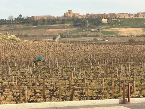 Restaurante El Puntido