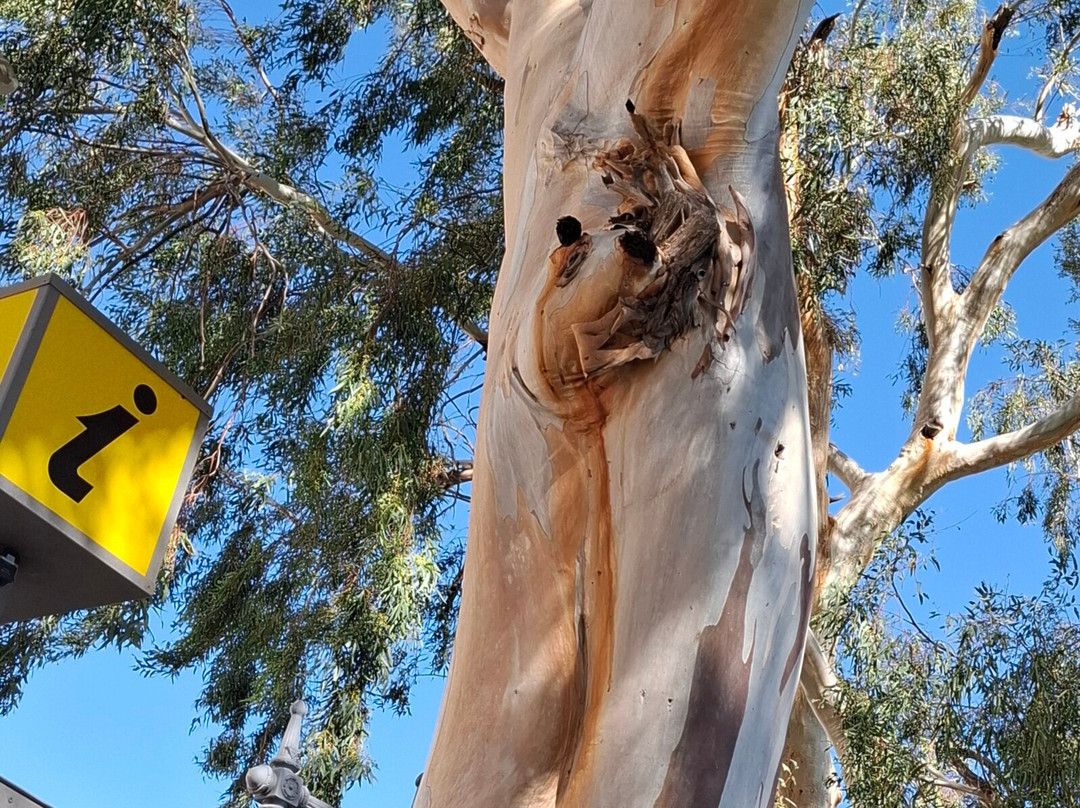 Mirador de La Orilla-San Bartolome de Tirajana必去景点