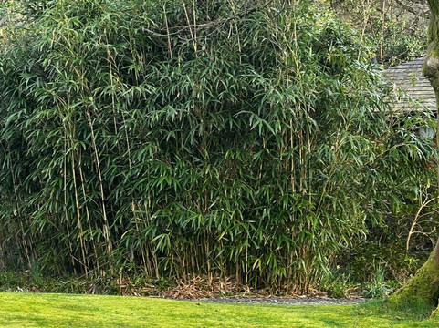 哈勃酒店的罗斯花园主图