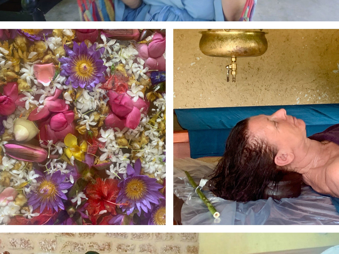 Hela Gedara Retreat Beruwala主图