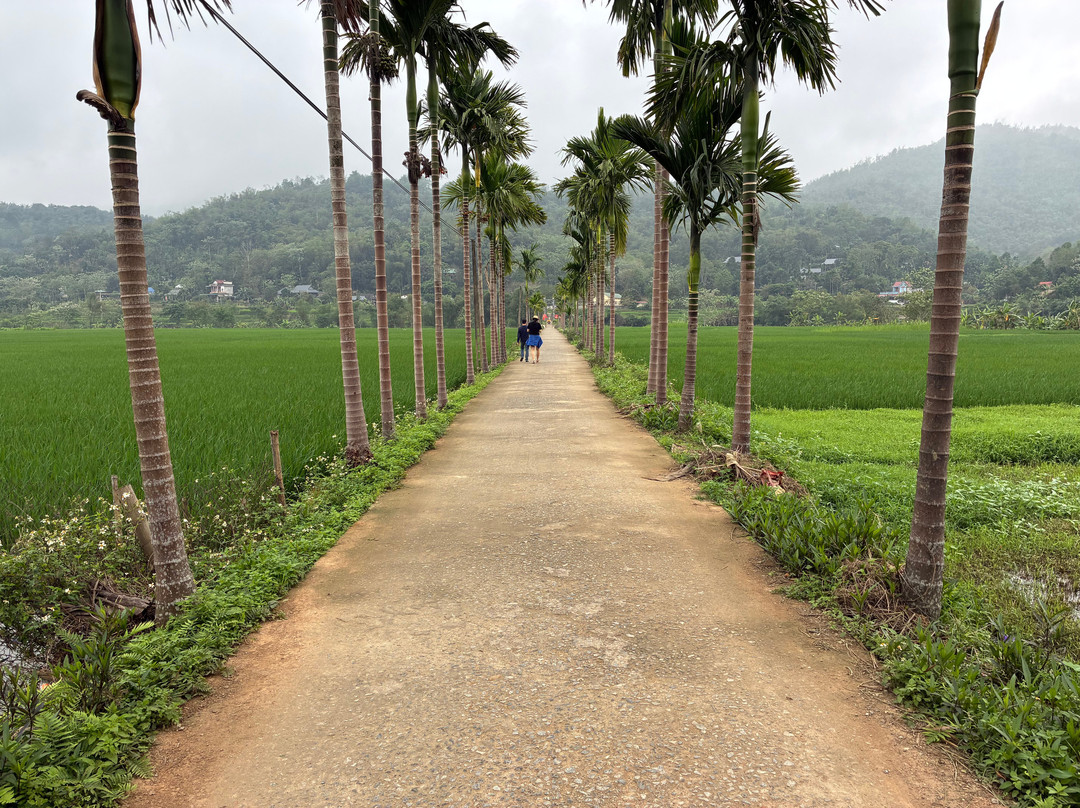 Pu Luong Excursions - Simply for mountain lovers-Thanh Lam必去景点