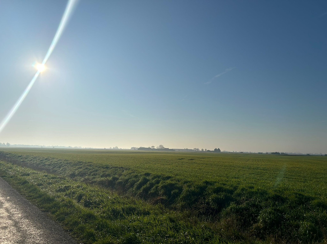 雾都孤儿乡村住宿加早餐旅馆主图