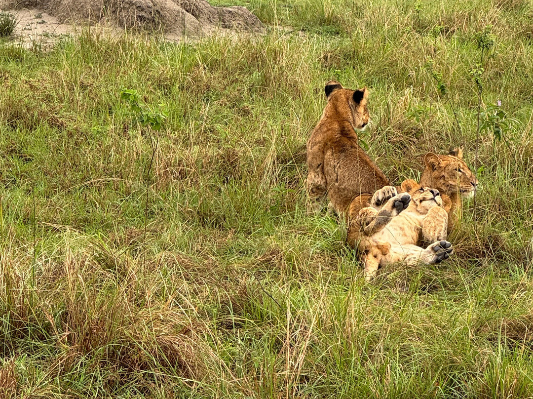 Jinja Bike Tours And Safaris-Buikwe必去景点