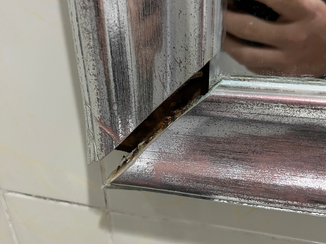 薄荷岛南部海滩酒店主图