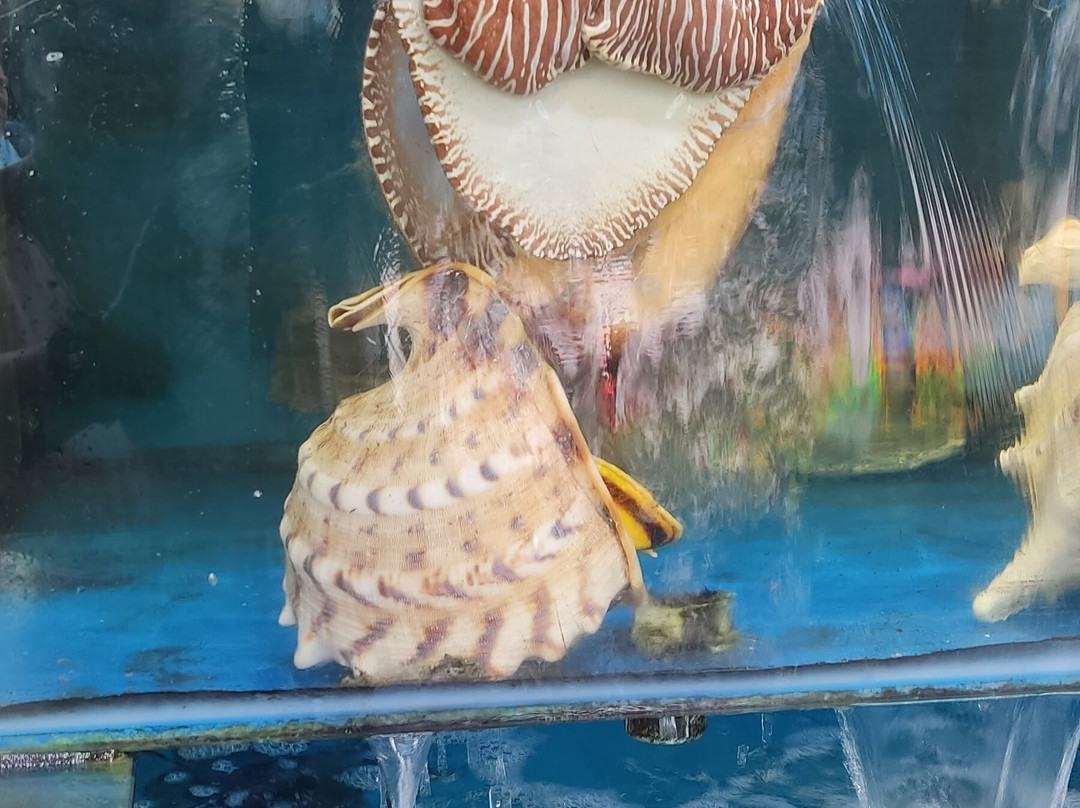 富国市场-扬东必去景点