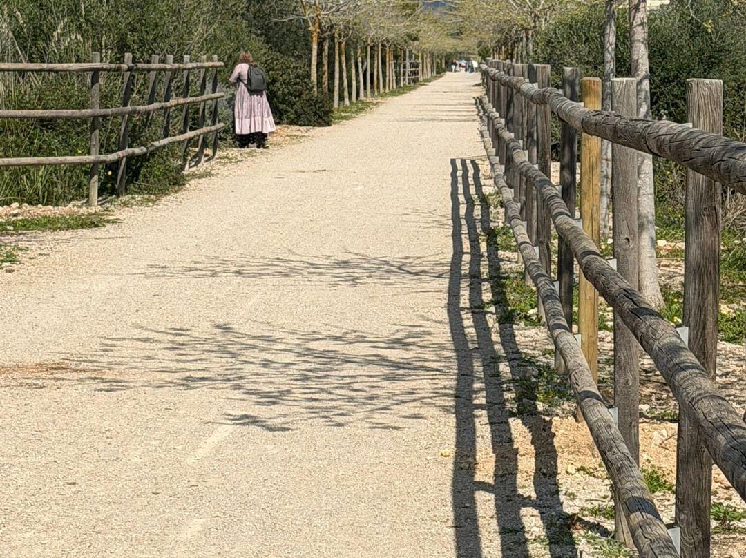 Via Verde Manacor-Arta-Arta必去景点