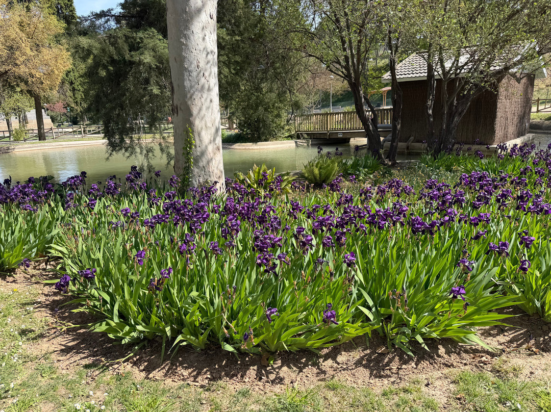 Parque Grande, Jose Antonio Labordeta-萨拉戈萨省必去景点