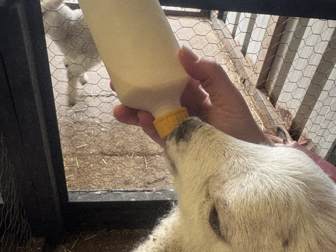 Church Farm Ardeley-斯蒂夫尼奇必去景点