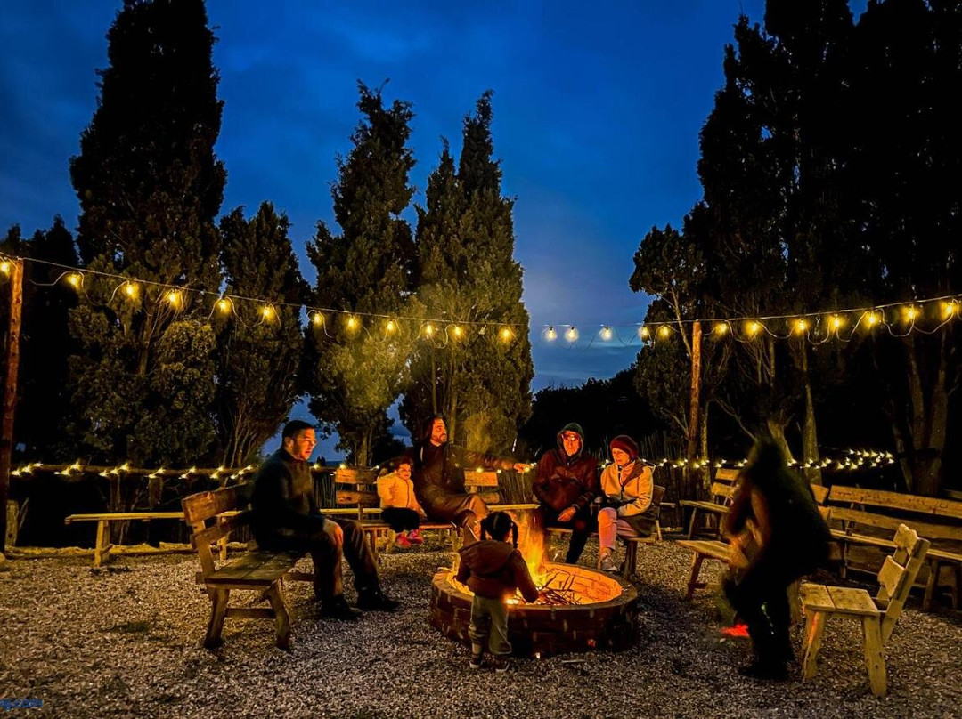 Ghar El Melh Outdoors
