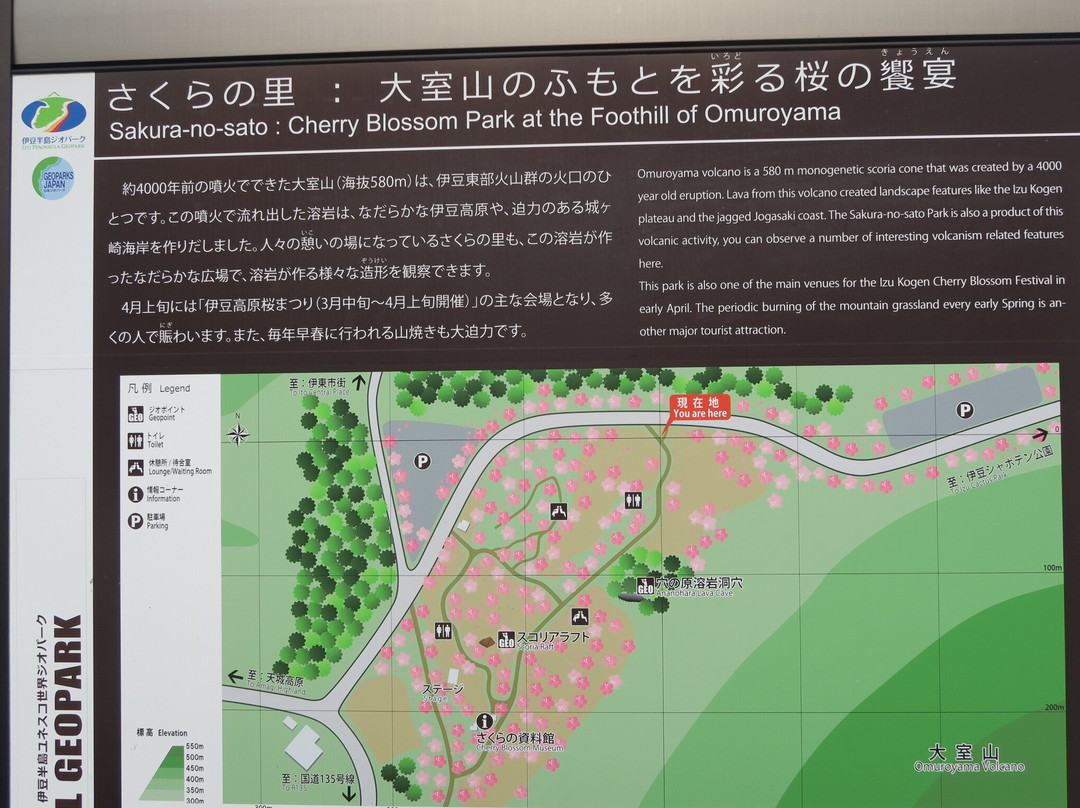 Sakura no Sato-伊东市必去景点