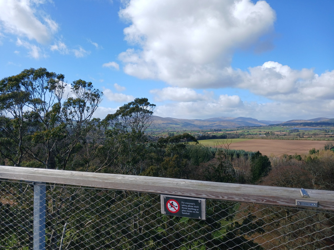 Treetop Walk Avondale-Rathdrum必去景点