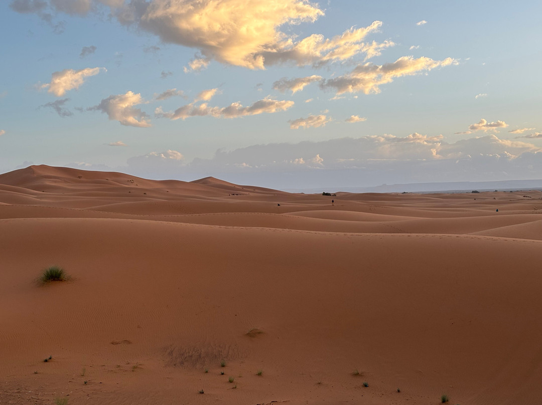 Dades Aventures - Day Tours-瓦尔扎扎特必去景点