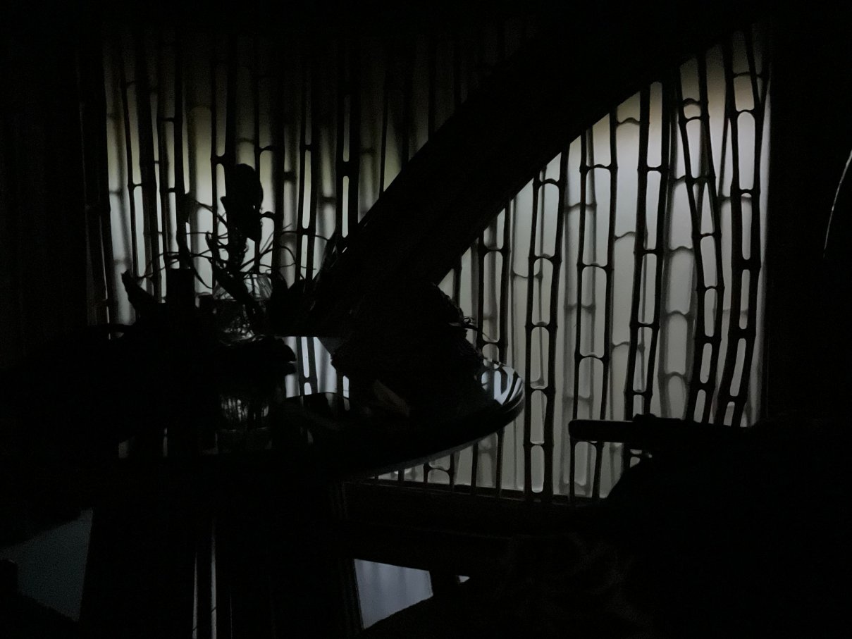 萨曼瓦亚豪华水疗度假村-限成人-客卧