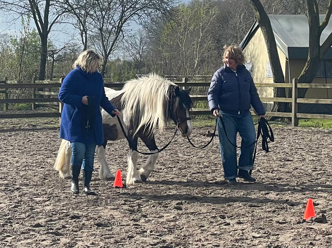 De Smulhoeve-卡特斯维尔必去景点