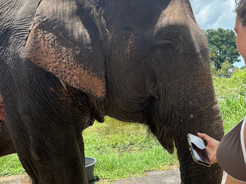 I Love Elephant Samui-Na Mueang必去景点