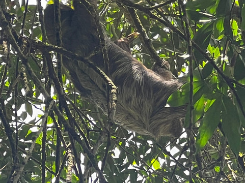 Pacific Trade Winds-Nuevo Arenal必去景点