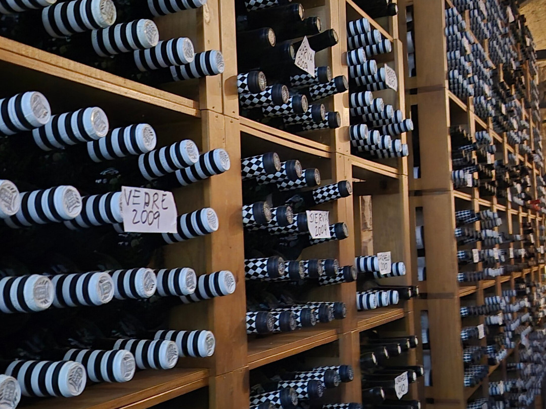 Bodegas Carchelo-Jumilla必去景点