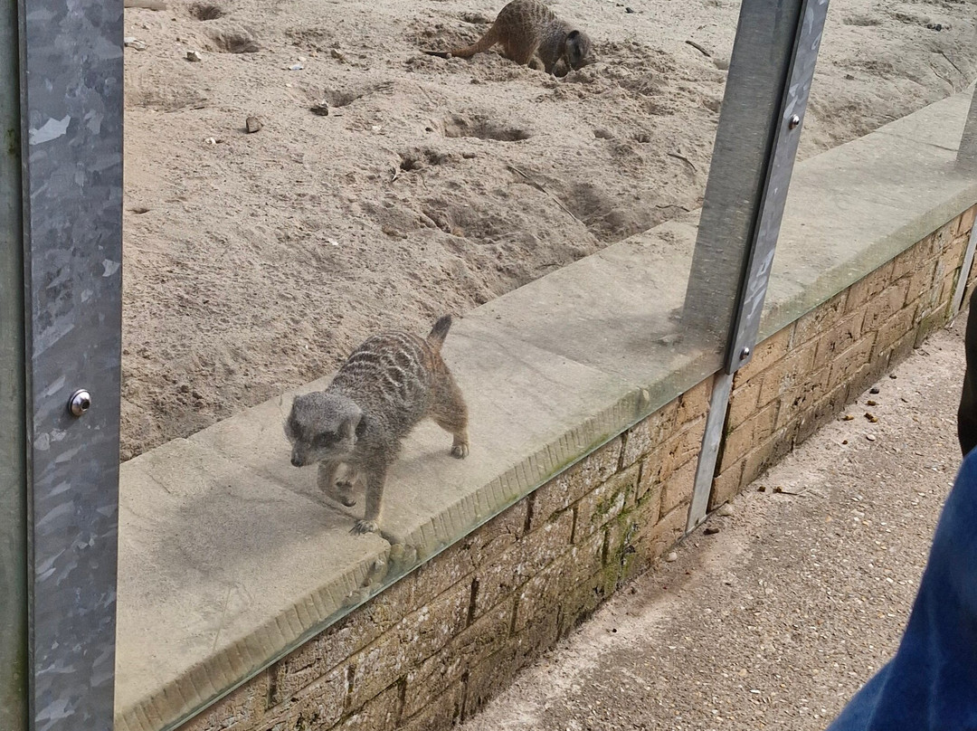 Finkley Down Farm-Andover必去景点