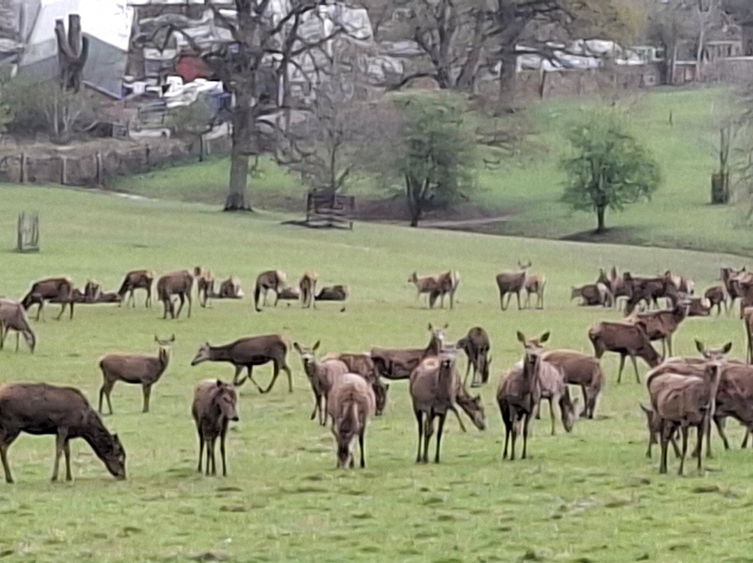 Greystones Farm-水上伯顿必去景点