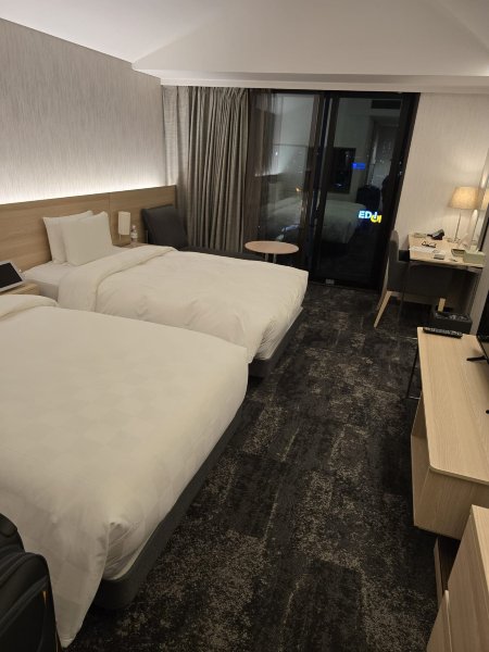 大阪皇家古典酒店-客卧