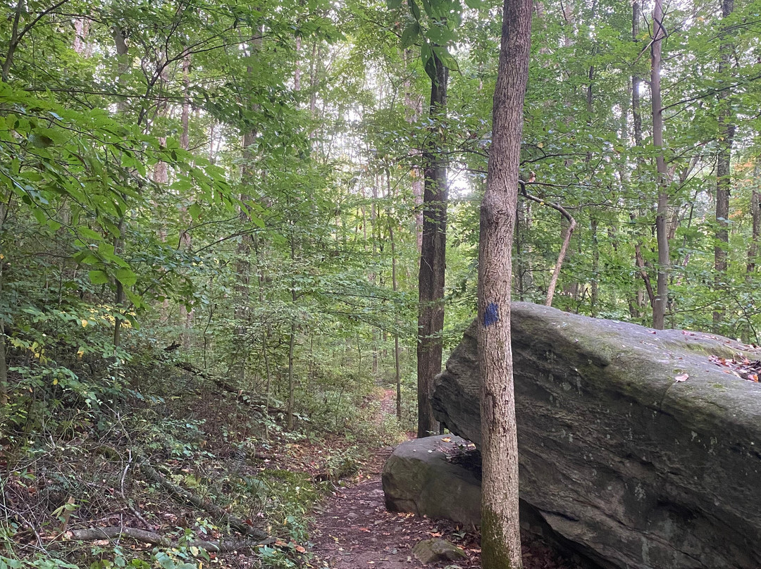 Salt Fork State Park-Cambridge必去景点