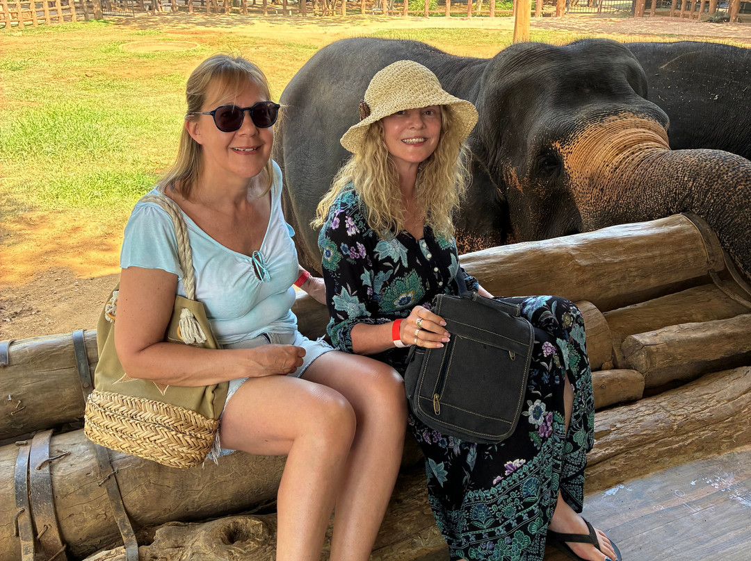 Asda Tours-Waikkal必去景点