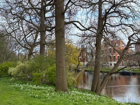 Molen van Groot (Piet)-Alkmaar必去景点