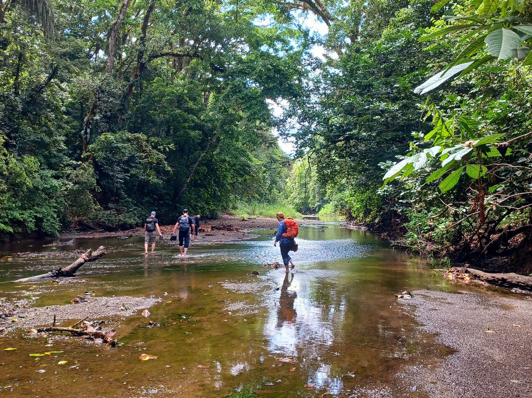 Corcovado Hiking Tours-希门尼斯港必去景点