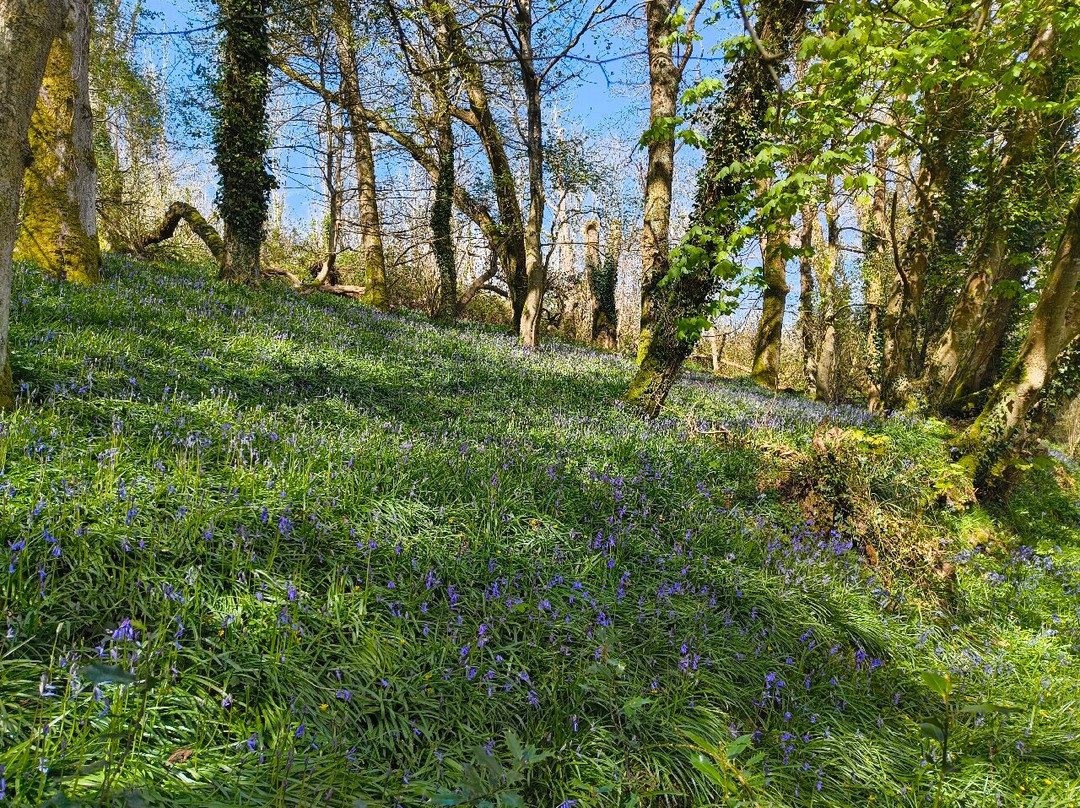 Fast Rabbit Farm Gardens-达特茅斯必去景点