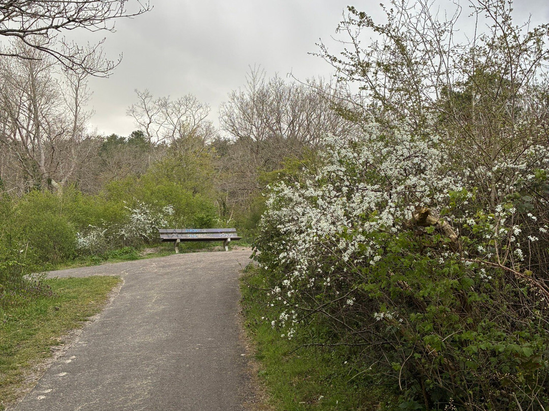 Meester Enschedepark-Bloemendaal必去景点