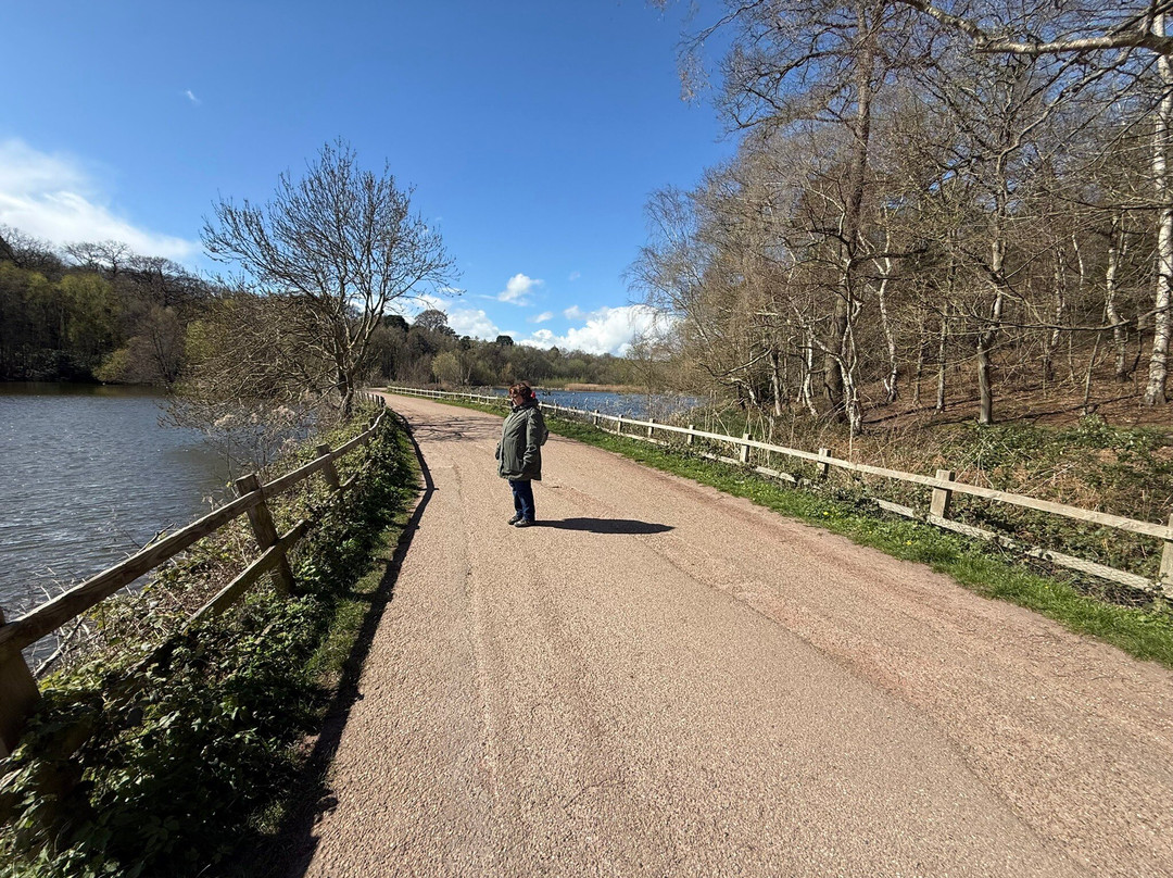 Clumber Park-沃克索普必去景点