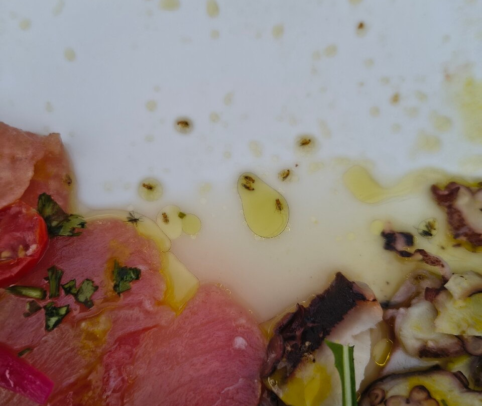 Forte Nossa Senhora Dos Remédios-费尔南多-迪诺罗尼亚群岛必去景点