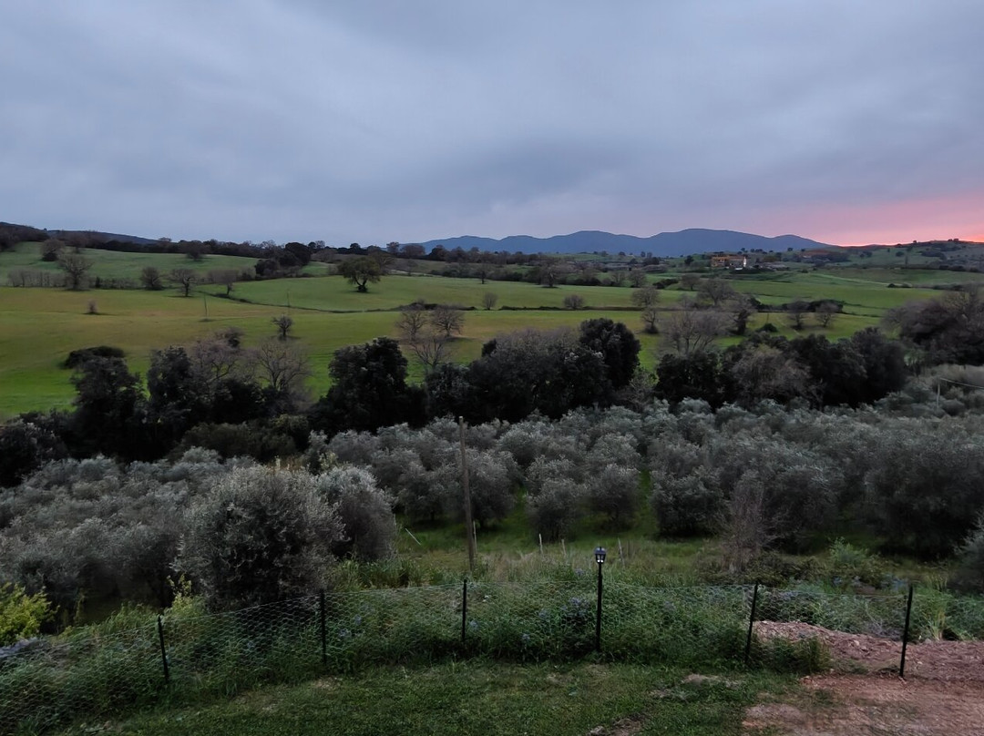 Agriturismo Lo Scalandrino 农家乐主图