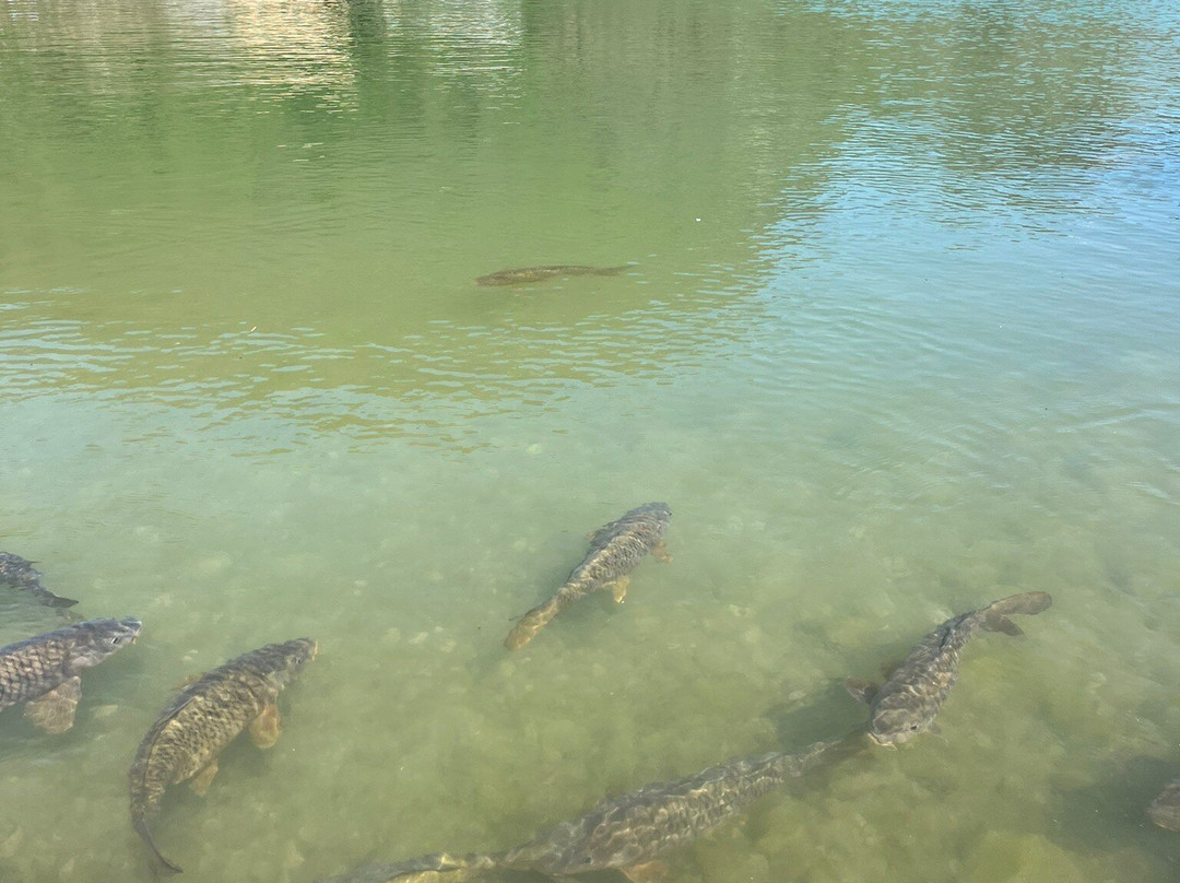 Archeopark-Boario Terme必去景点