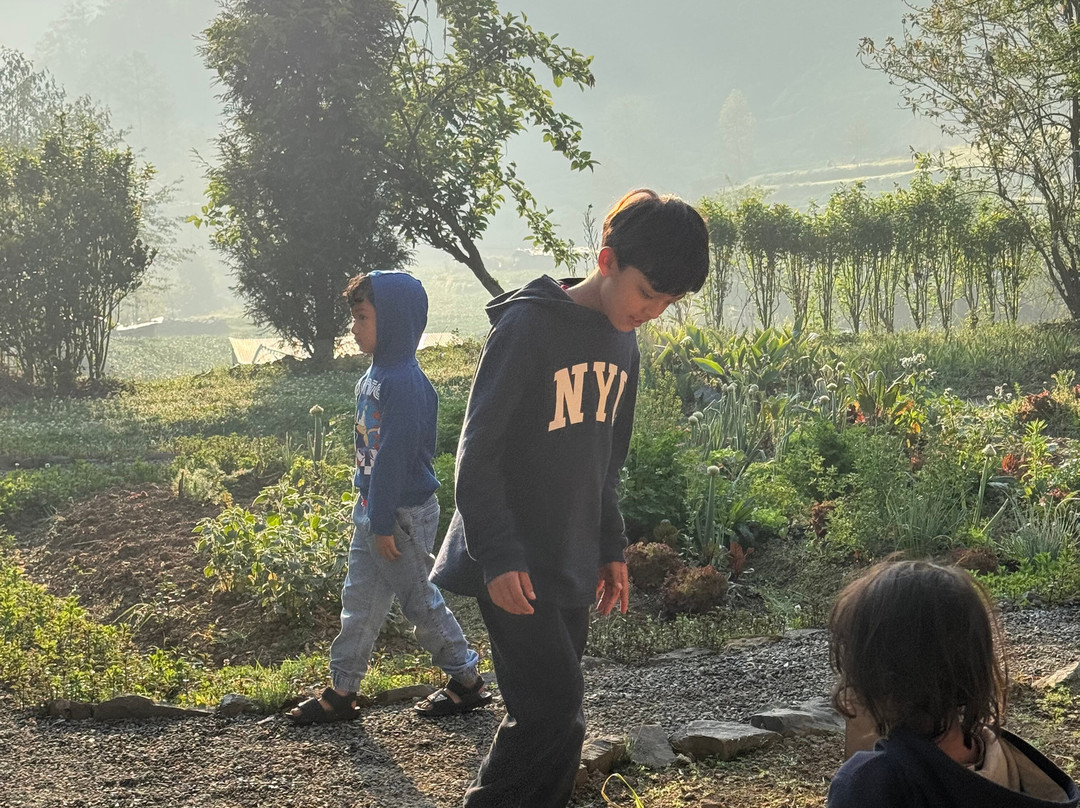 The Farm Stays at Herb Nepal主图