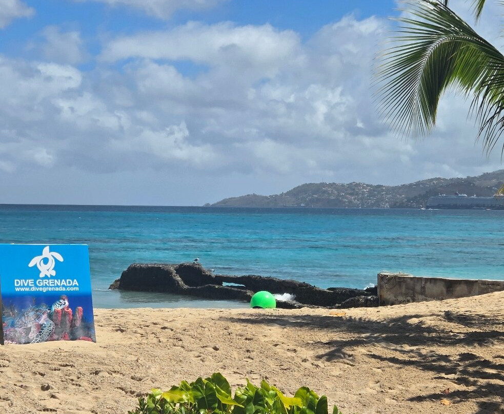 Dive Grenada-Grand Anse必去景点