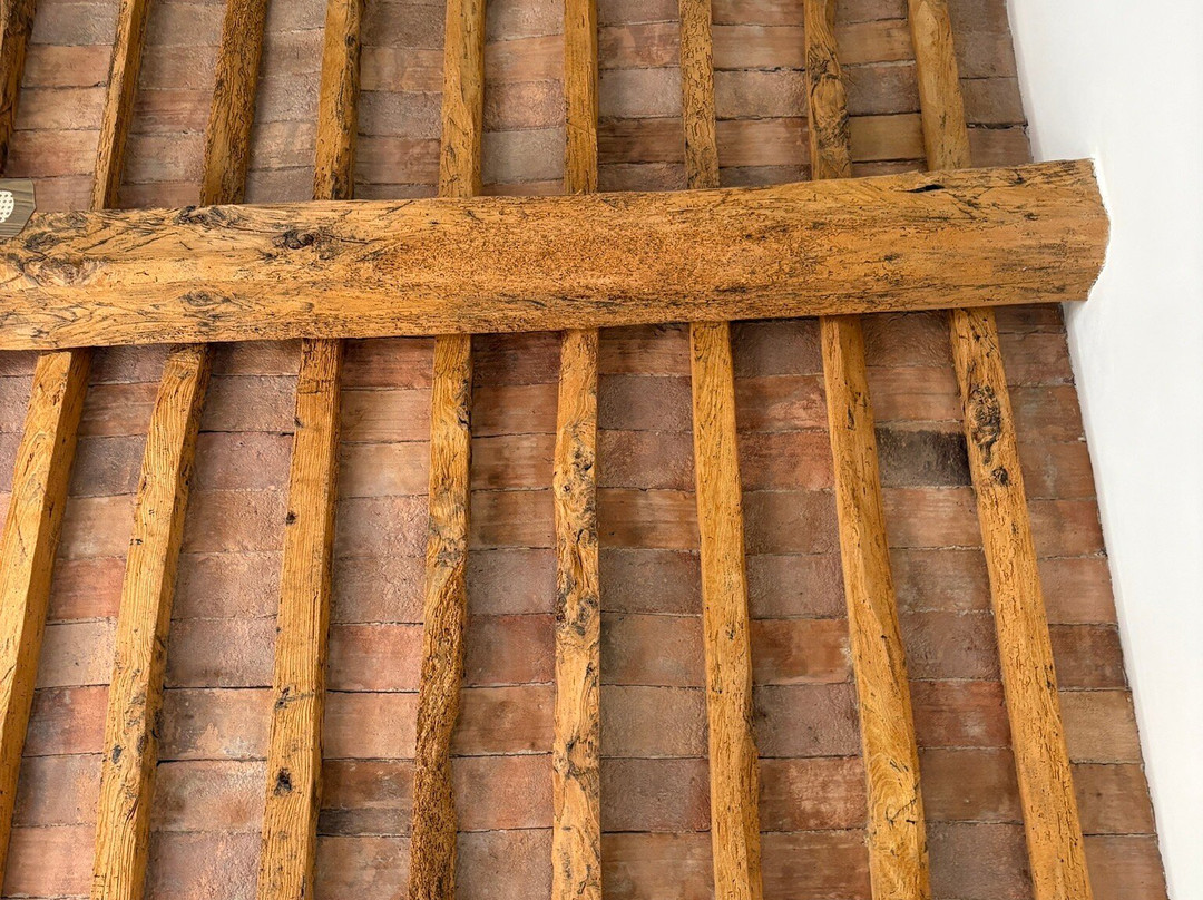 坎托索尔住宿加早餐旅馆主图