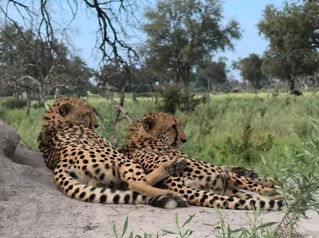 The African Wild-马翁必去景点