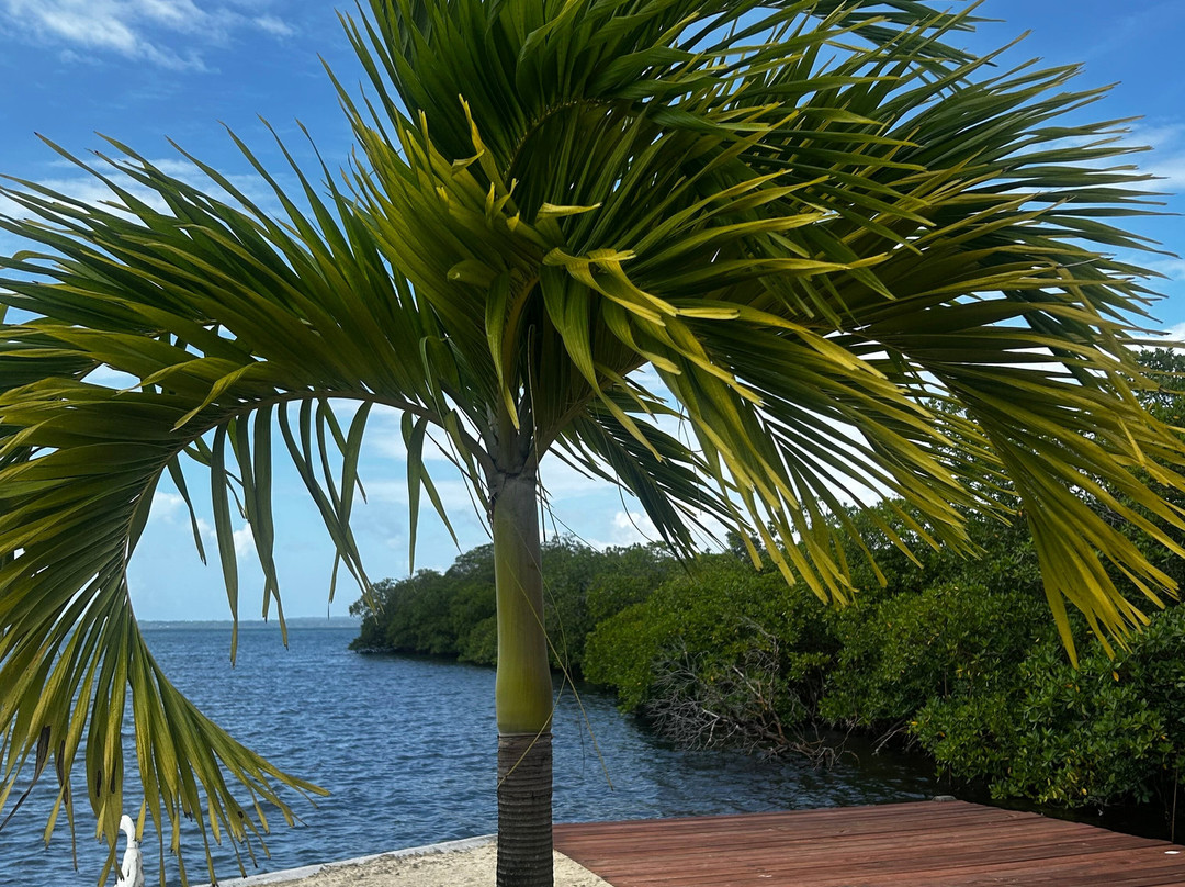 Nayara Bocas Del Toro主图