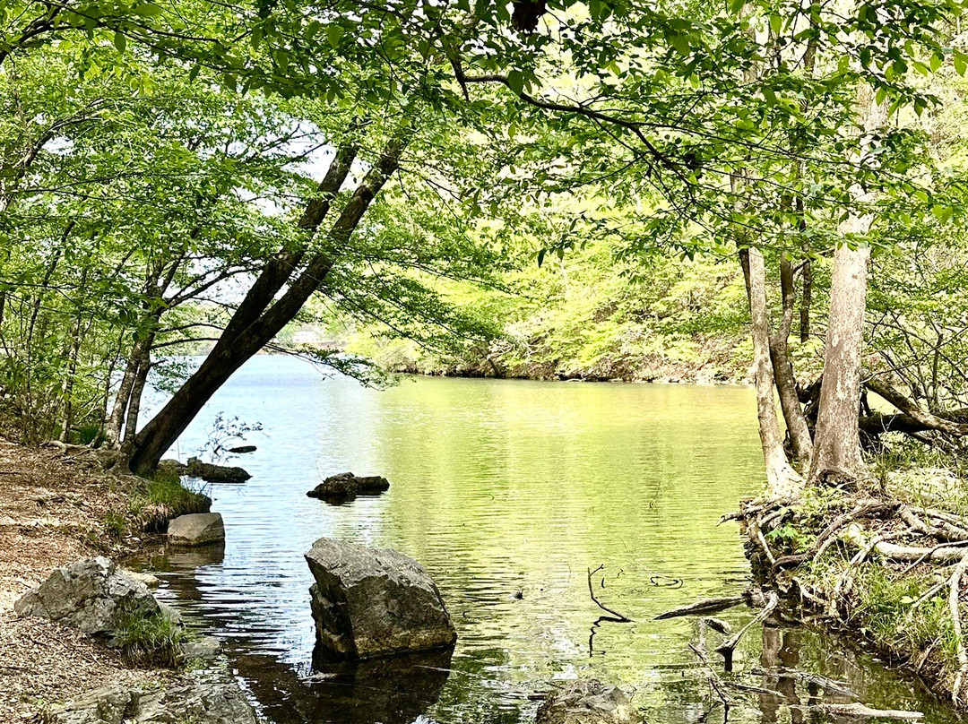 Hot Springs National Park-温泉城必去景点