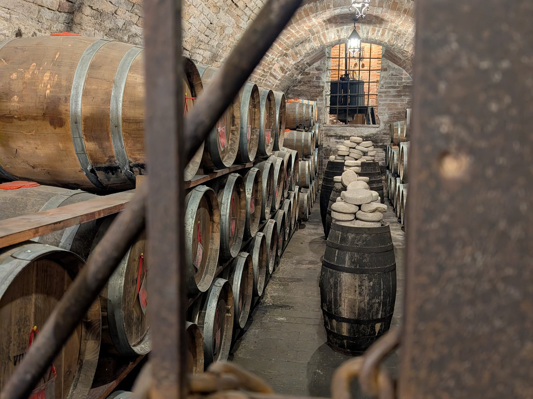 Azienda Agricola Ercolani-蒙特普尔恰诺必去景点