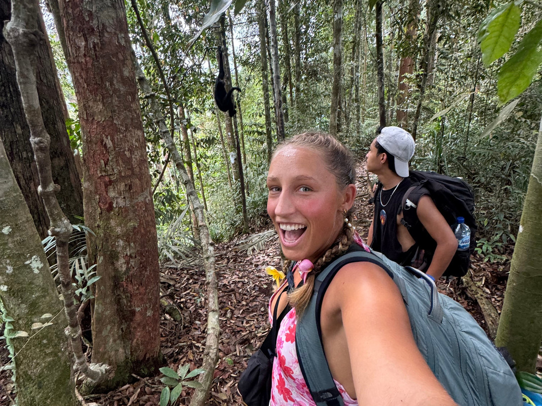Bukit Lawang Jungle Trekking-武吉拉旺必去景点