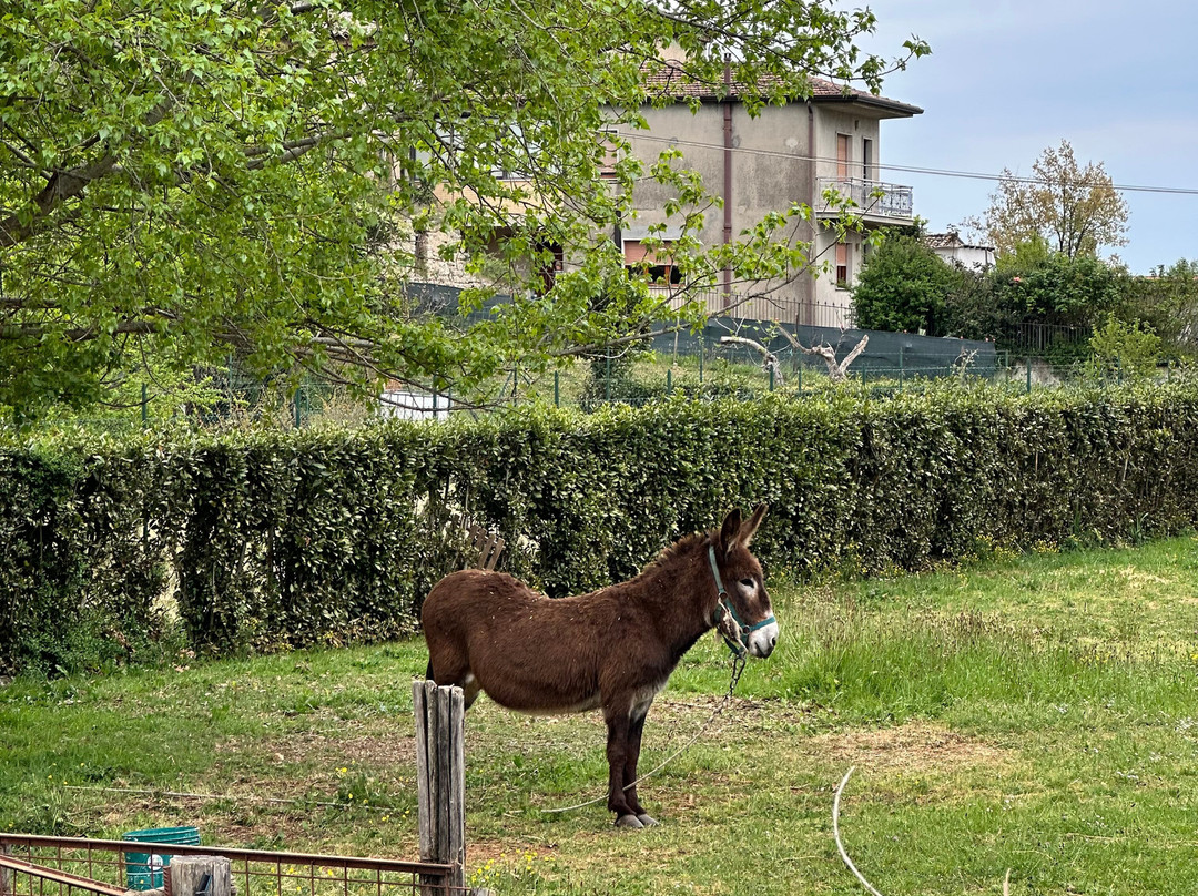 Fattoria Didattica Marilù-Veroli必去景点