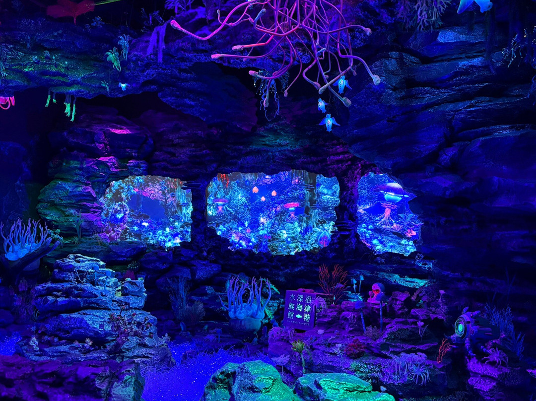Numazu Deep Sea Aquarium-沼津市必去景点