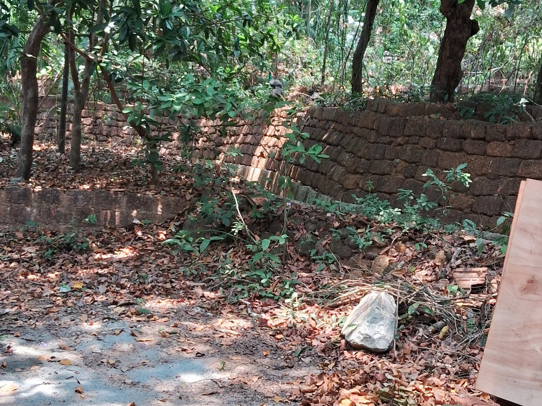 赛韦什兰海滩度假村-宾多尔主图