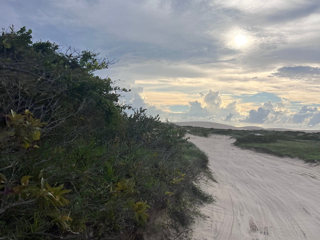 Jymmy Jeri Passeios-杰里科科拉必去景点